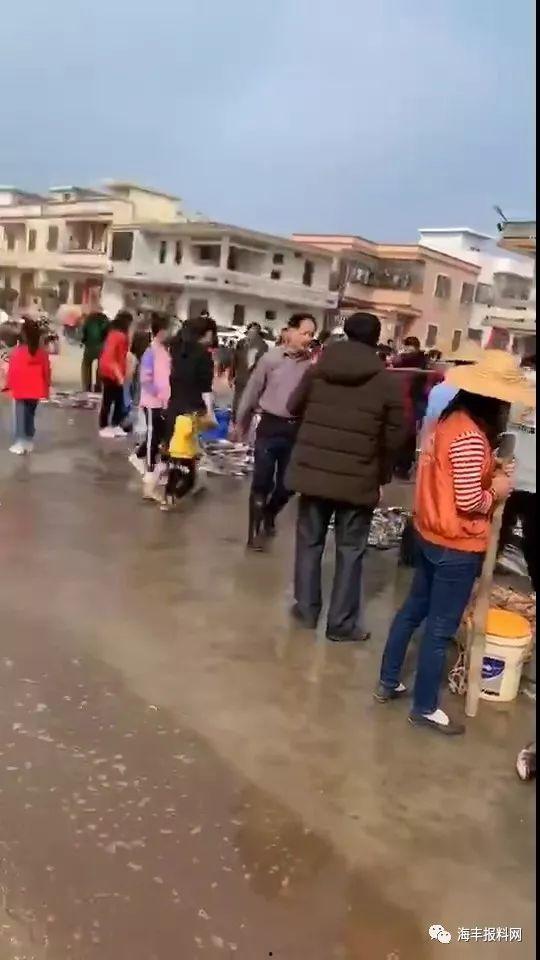 海丰爆料最新情况视频,视频揭露惊人内幕 第2张 海丰爆料最新情况视频,视频揭露惊人内幕 第2张